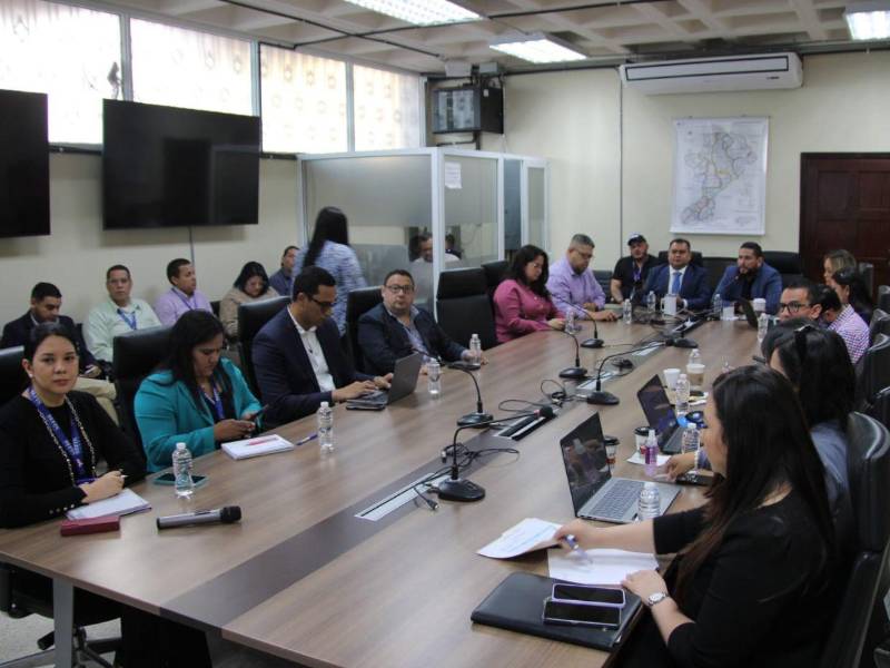 Representantes del Gobierno y del Colegio Médico instalaron este lunes la mesa técnica ampliada que revisará y agilizar el proceso de pago a los galenos que se les adeuda salario.