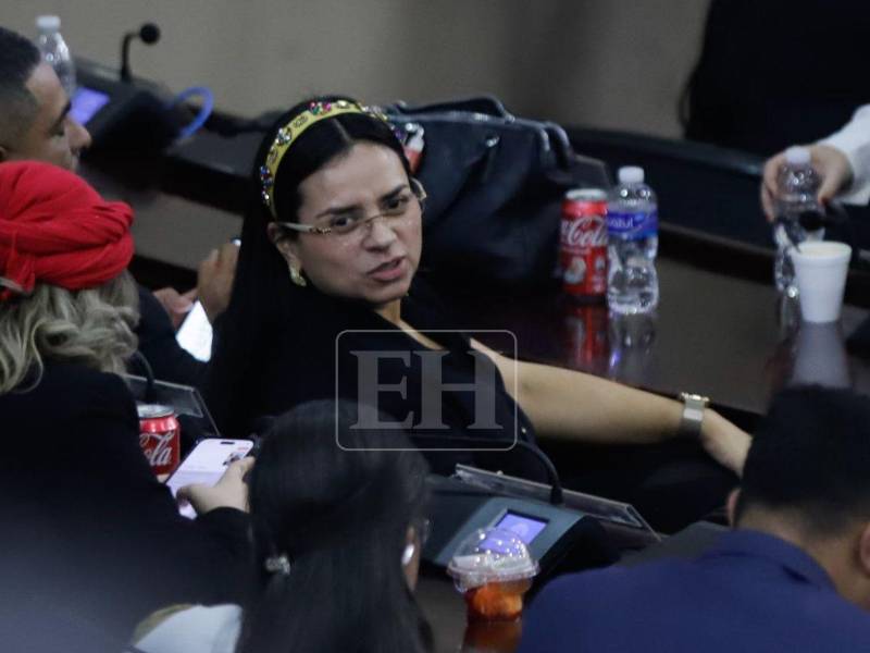 La diputada Isis Cuéllar ha estado presente en las sesiones del Congreso Nacional tras ser reelegida.