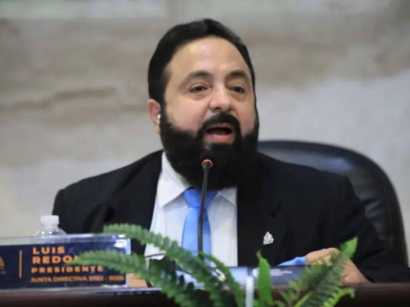 Luis Redondo, presidente del Congreso Nacional.