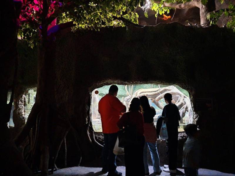 También hay un serpentario, donde los visitantes pueden observar decenas de especies de serpientes. Hay alacranes y arañas.