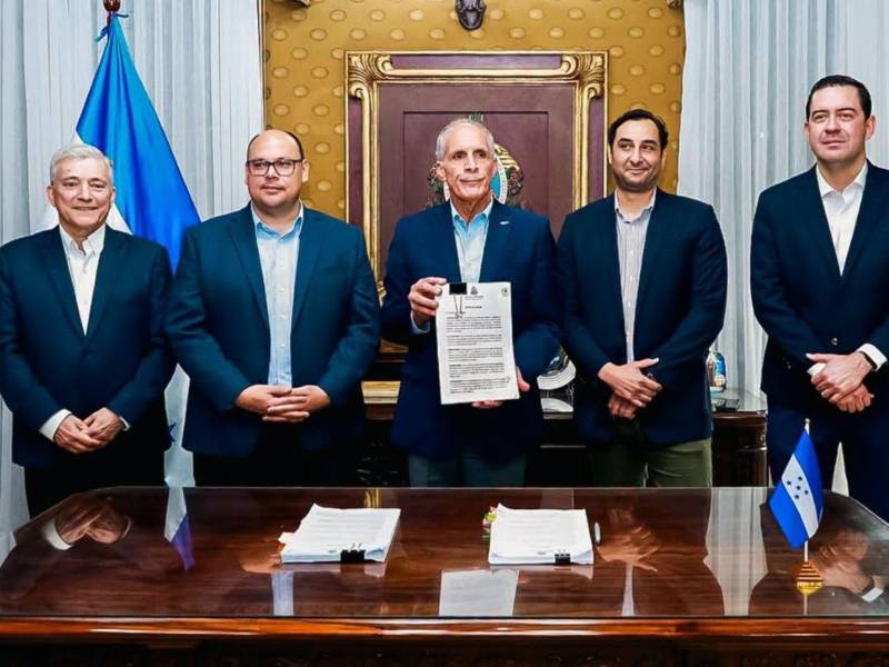El objetivo de esta reorganización es ordenar el funcionamiento de cada una de estas áreas y establecer una estructura diferenciada dentro del sistema eléctrico nacional.