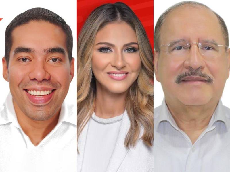 En la contienda presidencial el partido Libertad y Refundación (Libre) quedó en tercer lugar y en las diputaciones solo algunos de sus candidatos están logrando asegurar un curul en el Congreso Nacional (CN).