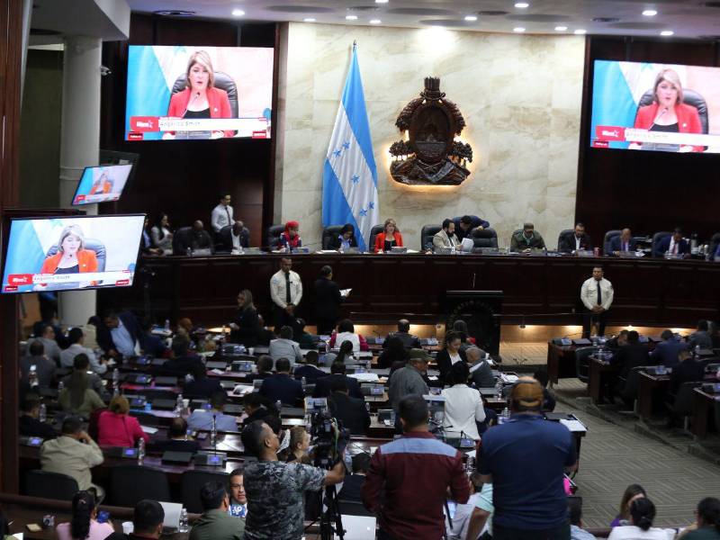 Las nuevas autoridades del Congreso Nacional están a la espera que llegue el Tribunal Superior de Cuentas (TSC).