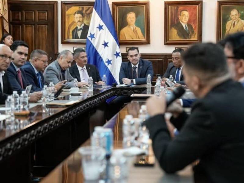 ​La iniciativa, impulsada mediante moción por la presidencia del Poder Legislativo, Tomás Zambrano.