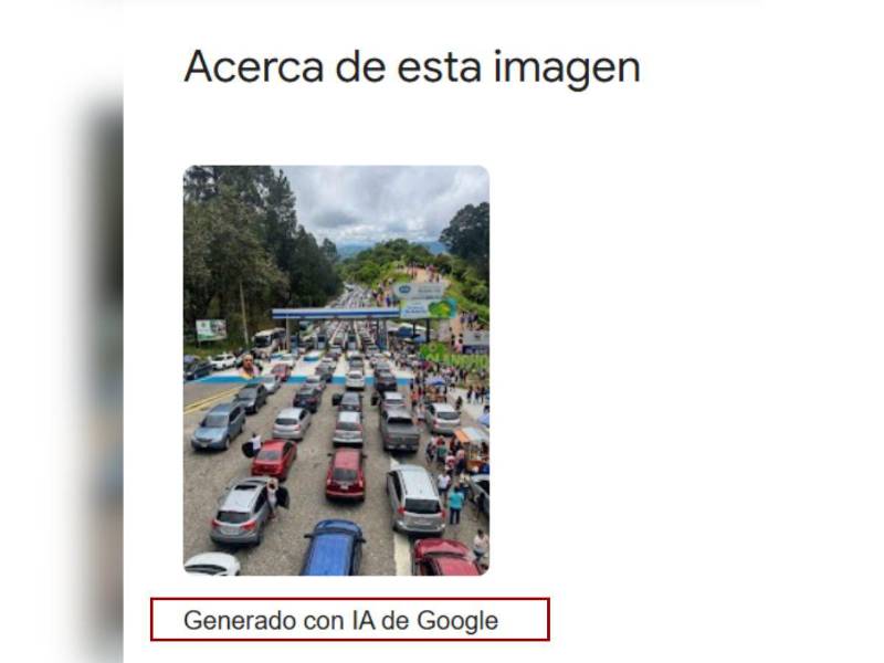 Resultados de la búsqueda Acerca de esta imagen en Google.