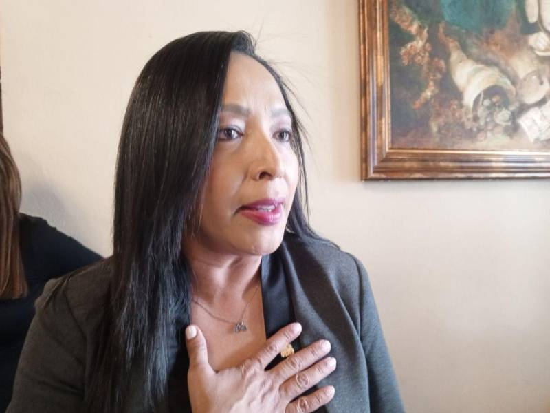 La diputada y vicepresidenta del Congreso Nacional, Lissi Matute Cano, es del criterio que si los miembros de la comisión permanente cometieron exabruptos se les debe aplicar el juicio político.