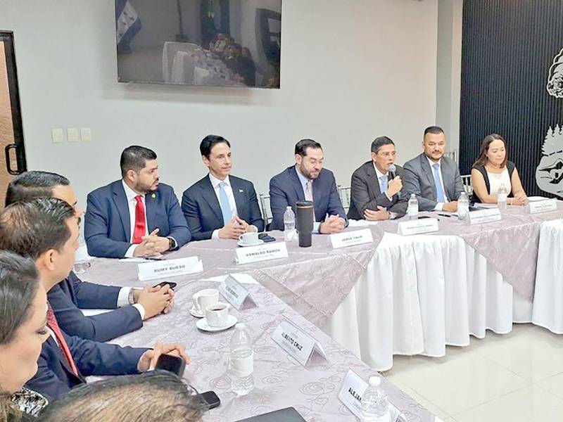 Una vez concluido este proceso, el anteproyecto será sometido a aprobación del Pleno de Magistrados y posteriormente remitido al Congreso Nacional para su discusión y eventual aprobación.