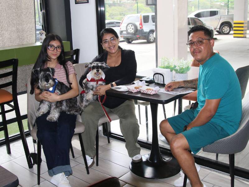 Clientes disfrutan de Guau Café junto a sus dos schnauzers durante una jornada entre semana.