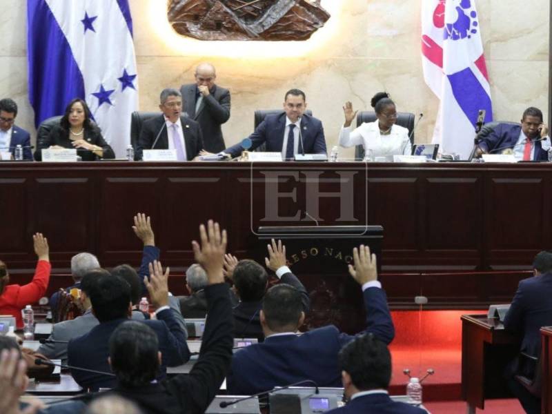 Desde hace varias semanas que la discusión para aprobar estas reformas se mantienen en suspenso por falta de consenso entre las bancadas de los partidos políticos.