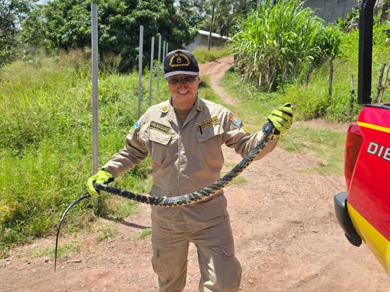 Ever Velásquez, bombero sobreviviente, buscará convertirse en alcalde del Distrito Central.