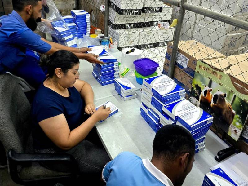 La compra de suero antiofídico por 300 mil lempiras asegura atención inmediata a pacientes mordidos por serpientes venenosas.