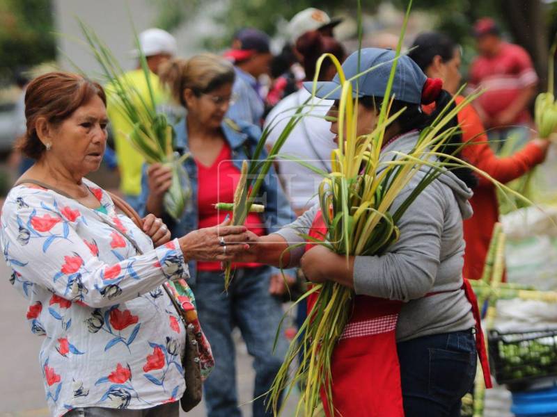 Desde tempranas horas del viernes 27 de marzo, las cercanías de la Catedral Metropolitana y la Plaza Central Francisco Morazán, se llenaron emprendedores que venden los tradicionales ramos y cruces de palma, de cara a las actividades religiosas que se avecinan para esta Semana Santa 2026.