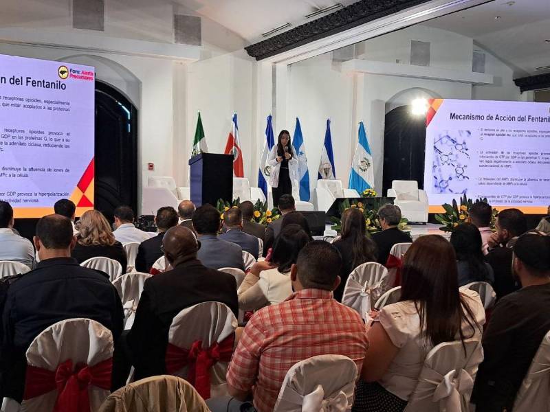 Los expertos participaron en el Foro Alerta Precursores, donde advirtieron de los peligros del fentanilo. El evento fue organizado por la Asociación para el Desarrollo y Superación de la Pobreza (Ahdesup) y el Comité Honduras Alerta.