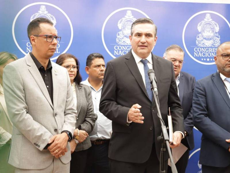 La discusión se desarrolló en el seno de la Comisión de Minería e Hidrocarburos del Legislativo, presidida por el diputado Erick Alvarado.