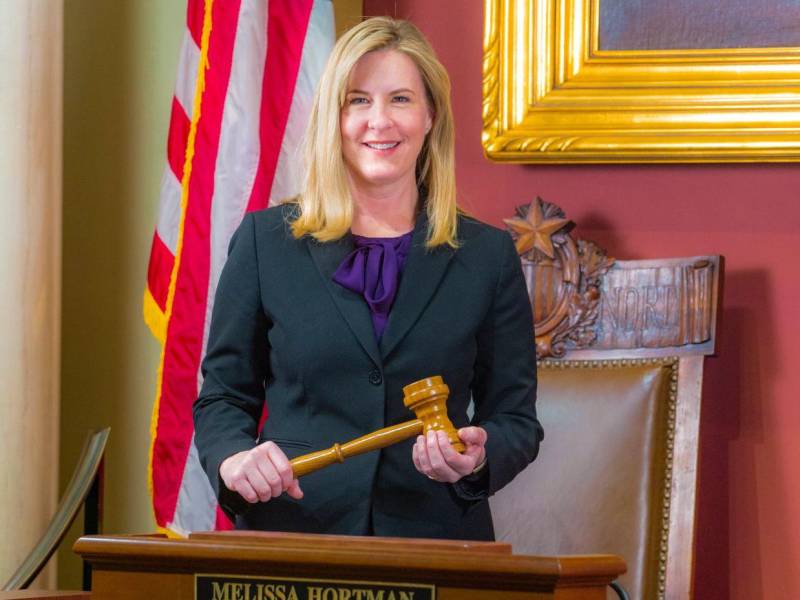 Melissa Anne Hortman fue una figura clave en la política de Minnesota, sirviendo como presidenta de la Cámara de Representantes desde 2019 hasta enero de 2025 y liderando el caucus demócrata-farmer-laborista (DFL) hasta su muerte. Conoce más sobre la congresista asesinada este sábado en Estados Unidos.