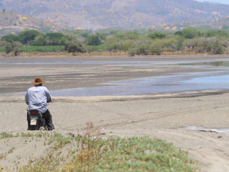 Los pequeños productores de camarón ven con tristeza cómo se pierde el rubro que por años les garantizó ingresos.