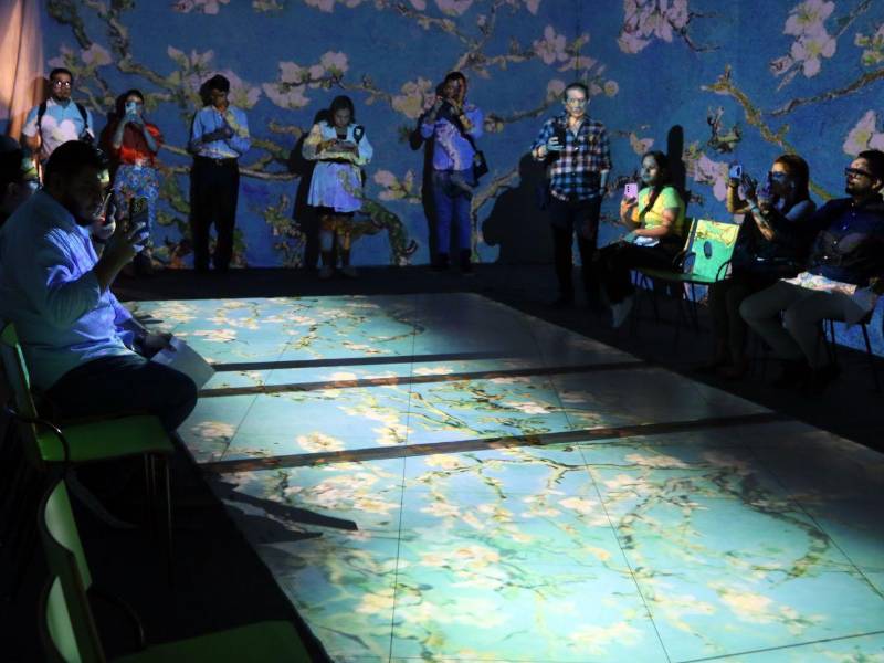 La exposición ofrece una experiencia de videoproyecciones monumentales y ambientaciones envolventes.