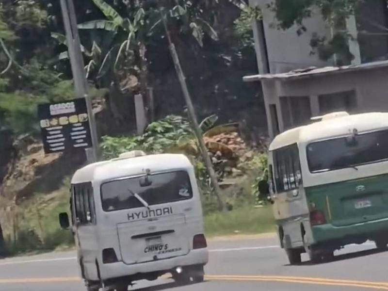 El conductor del bus blanco fue captado yendo en contravía en una zona de prohibido rebasar.