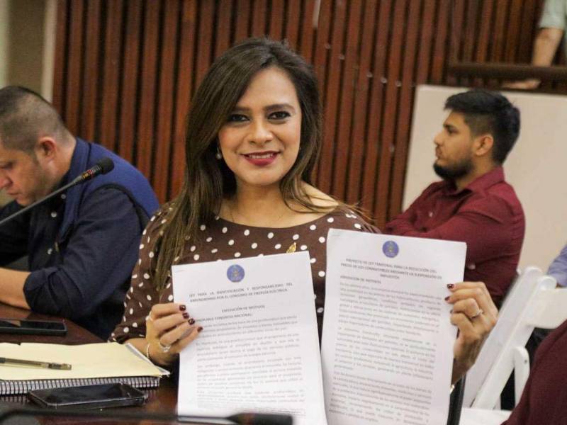 Iniciativa de diputada de Libre Dunia Jiménez plantea identificar a los arrendatarios como responsables del consumo de energía eléctrica durante el período que ocupen un inmueble.
