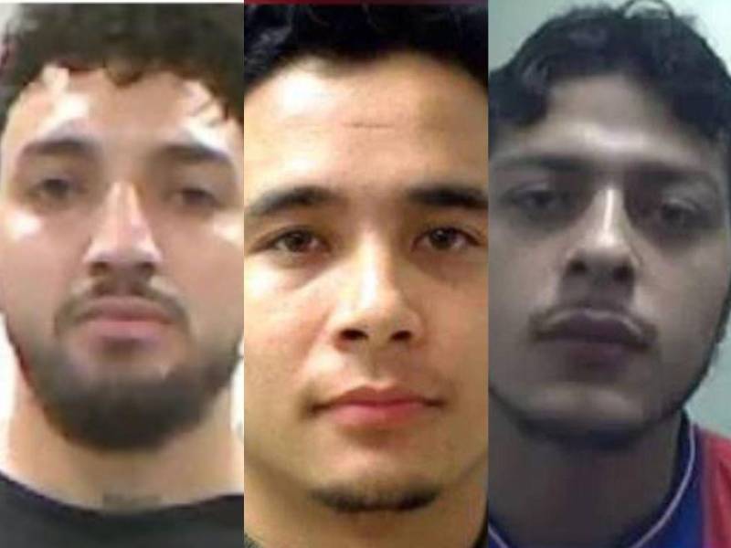 (1)Luis Alfredo Maldonado López, (2) Henry Rafael Oseguera, (3) Wilmer Flores Godoy.