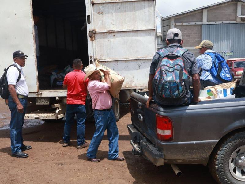 Los productores recibieron los incentivos otorgados por parte de la Secretaría de Agricultura y Ganadería (SAG) para fortalecer los cultivos de frijol en el departamento de El Paraíso.