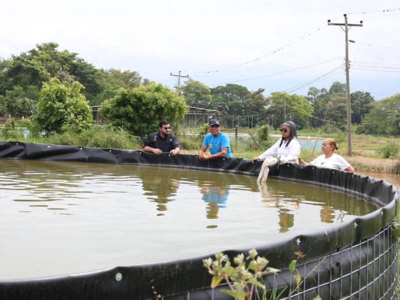 Las autoridades de la Secretaría de Agricultura y Ganadería (SAG) buscan dinamizar la actividad piscícola a nivel nacional, con la reactivación del Centro Piscícola en Comayagua.