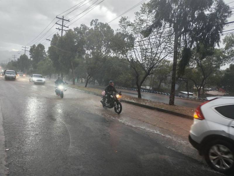 Una fuerte lluvia se registró durante la tarde de este sábado en Tegucigalpa, dando así un poco de alegría a los capitalinos que se encontraban en crisis ante la sequía que enfrenta el país.