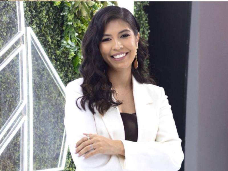 Elena Castillo también fue encargada del grupo de prensa del entonces precandidato presidencial del Partido Liberal, Jorge Cálix, en su etapa de campaña.