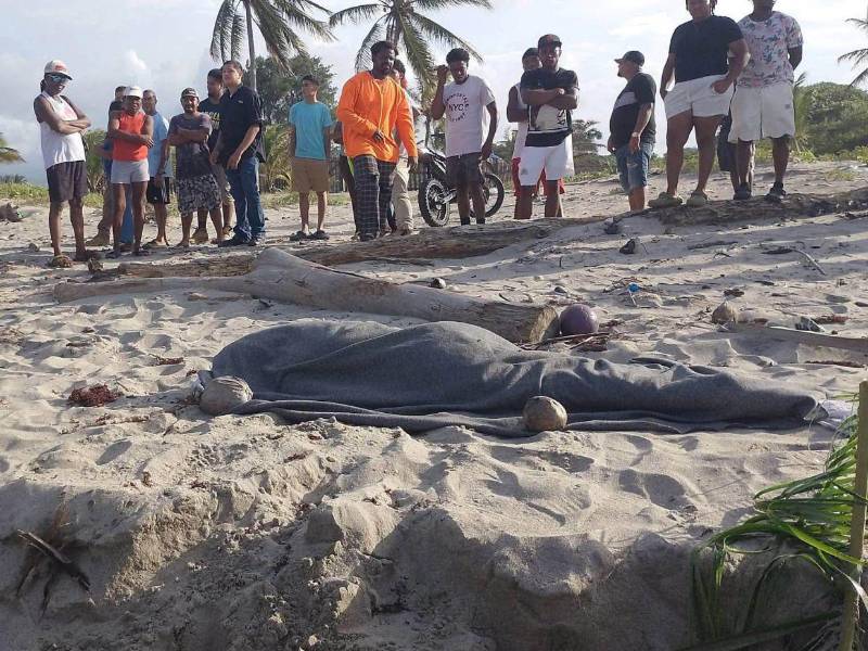 Rosy fue encontrada muerta el sábado 12 de septiembre, un día después de haber sido reportada desaparecida.