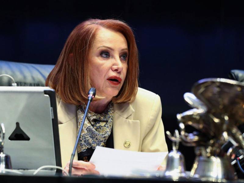 Laura Itzel Castillo, presidenta de la Cámara de Senadores de México.