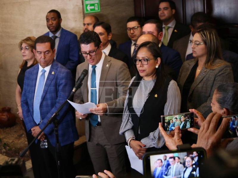 La comisión del Congreso Nacional confirmó la decisión del aspirante al CNE.