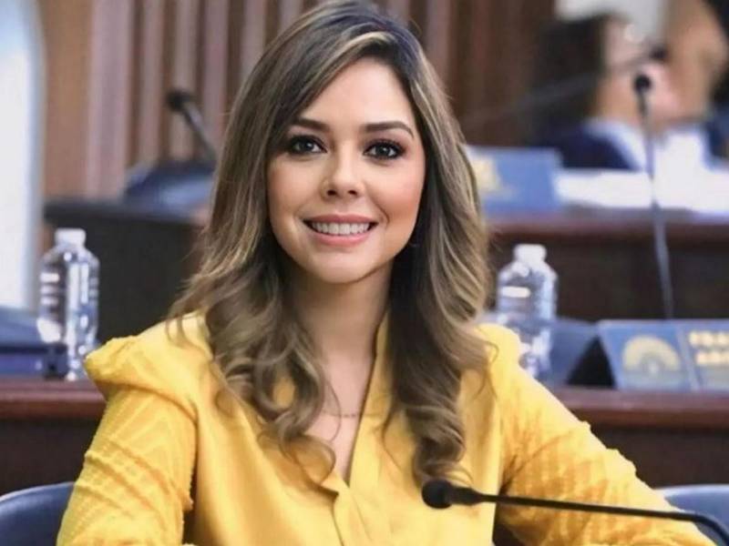 Mejía defendió este mecanismo constitucional y afirmó que exigir responsabilidades no es persecución, sino parte de la defensa de la democracia y la institucionalidad.