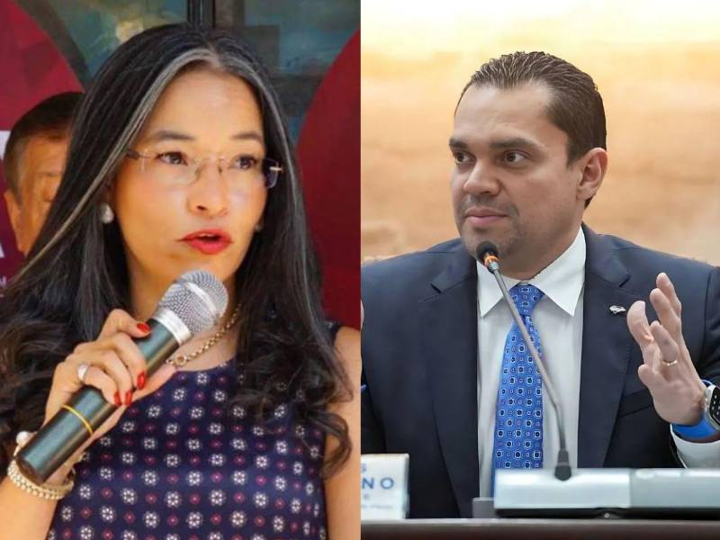 A nueve meses de que el actual Congreso Nacional asumiera funciones, Gabriela Castellanos, directora ejecutiva del CNA, pidió al titular del Legislativo, Tomás Zambrano, fijar fecha para la discusión de las reformas electorales.