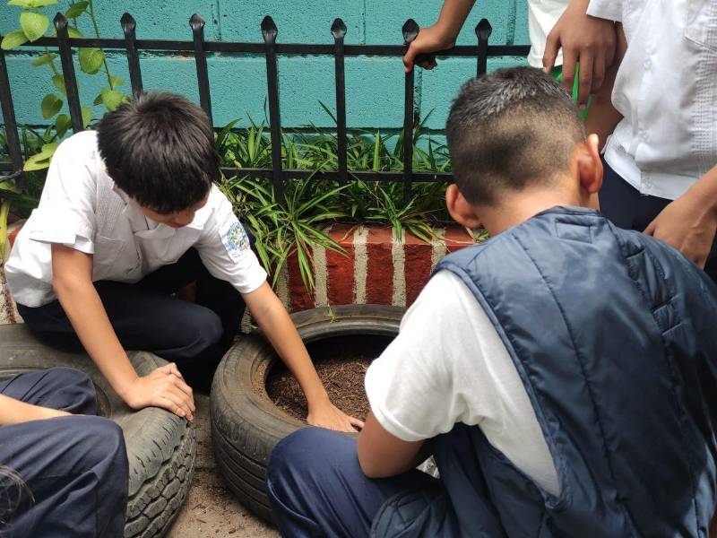 Alumnos de la Escuela República de Brasil, aprendieron a sembrar semillas de cilantro.