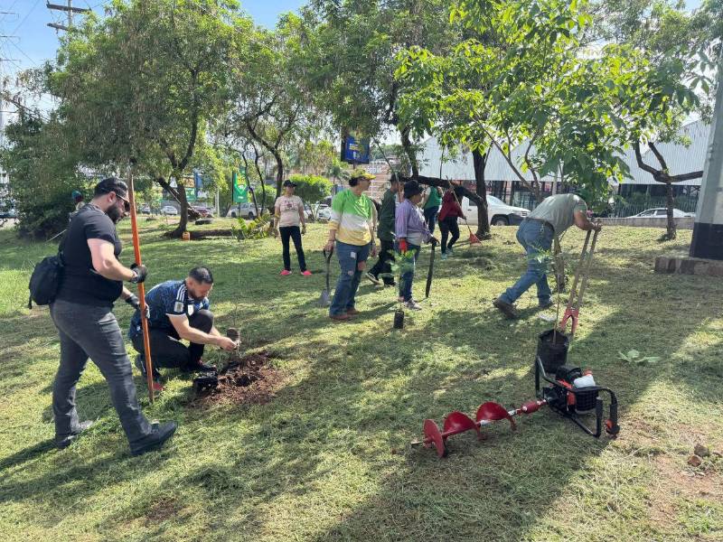 El departamento de Parques y Jardines de la Alcaldía capitalina reporta 120,000 plantas ornamentales y maderables, luego de sembrar 40,000 ejemplares en distintos sectores de la ciudad.