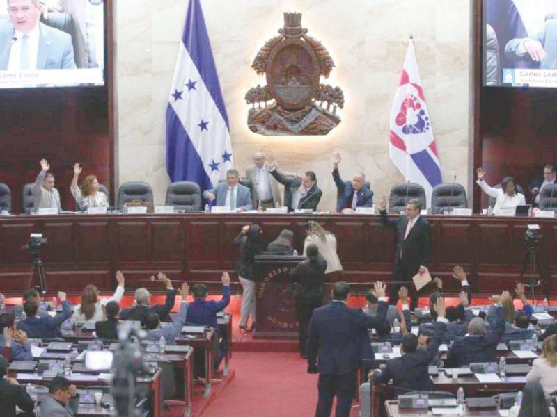 Las declaraciones surgen en medio del proceso de selección que desarrolla la Comisión Especial del Congreso Nacional.