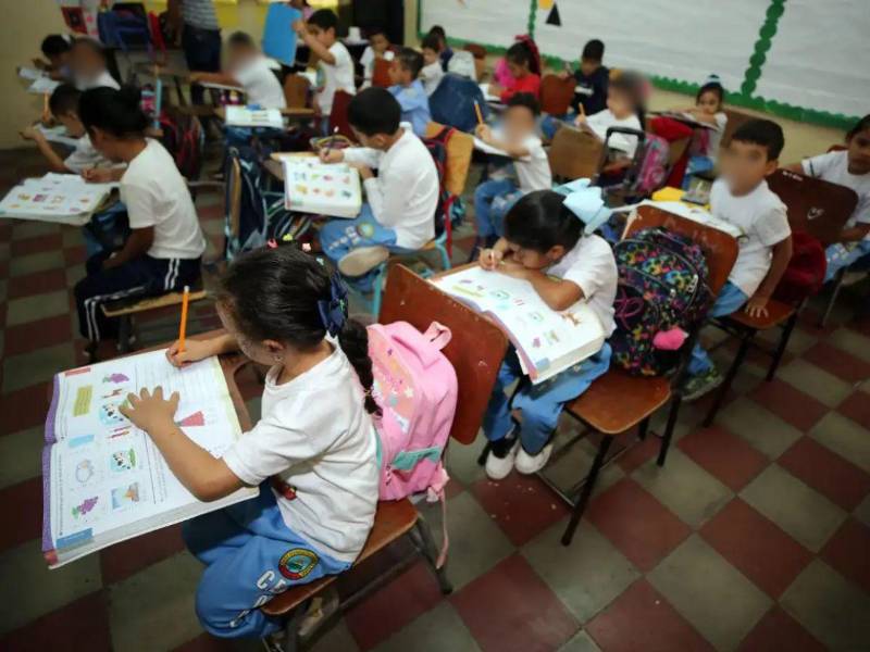 La prueba será con el objetivo de hacer evaluaciones técnicas y financieras para medir el impacto real de la medida antes de una expansión a nivel nacional, señaló la funcionaria.