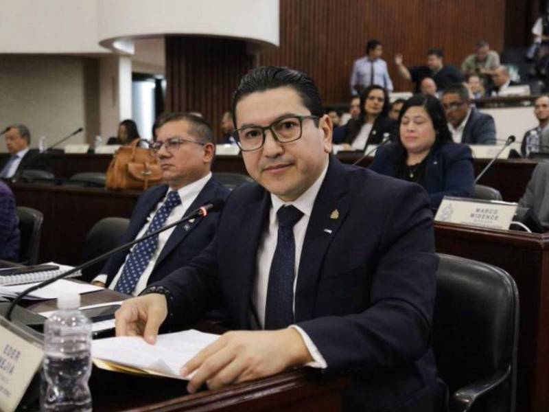 El diputado nacionalista Eder Mejía aseguró que hay una apertura total, sin distinción política.