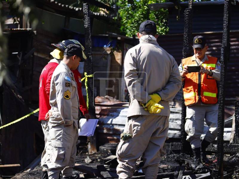 De acuerdo a los datos del Cuerpo de Bomberos, en lo que ha transcurrido de 2026 se han perdido 14 vidas humanas en incendios.