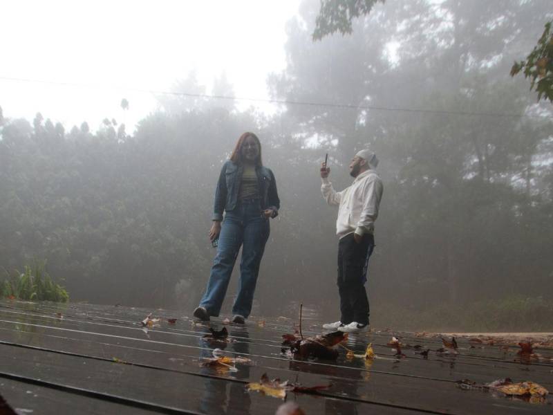 En el último trimestre del año, la neblina llega al parque impulsada por las corrientes de aire y alcanza incluso las zonas bajas, aunque el frío se intensifica en las áreas montañosas.