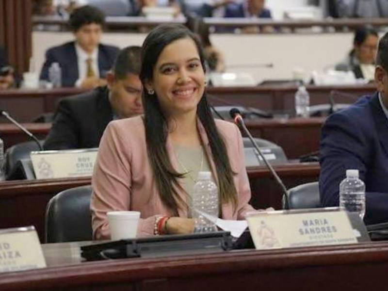 La diputada María Fernanda Sandres consideró que no se rindieron cuentas.
