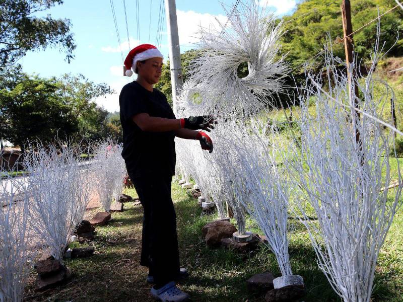 Puestos artesanales exhiben arbolitos pintados, pasto de colores y venaditos hechos con ramas, marcando el inicio de la tradición navideña.