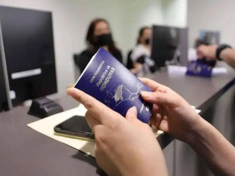 Estos documentos fueron otorgados indebidamente bajo un reglamento declarado nulo.