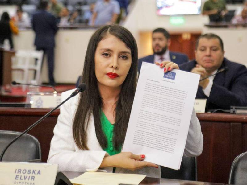La congresista del Partido Liberal, Iroshka Elvir, pidió discutir medidas más severas contra la delincuencia.