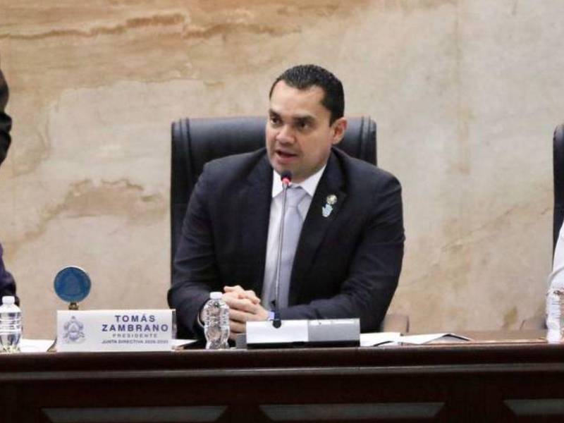 El presidente del Congreso Nacional, informó que ya se tienen los consensos con todas las bancadas para aprobar las reformas eléctricas.