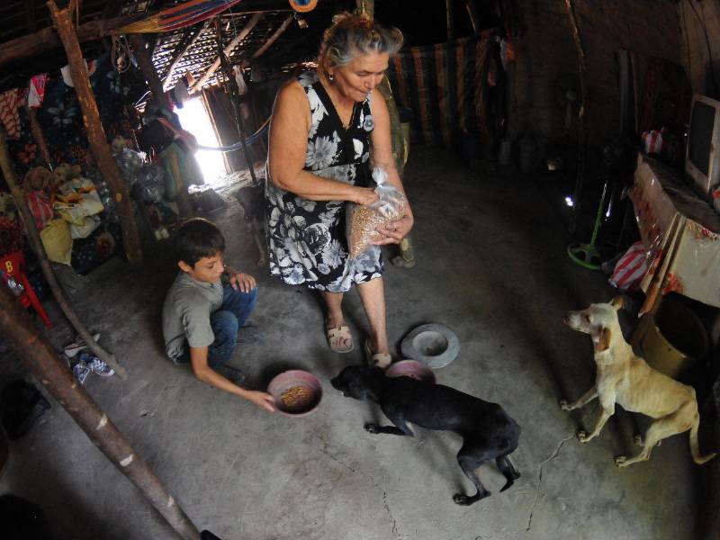 Los perros recibieron con alegría la comida que dieron los lectores.