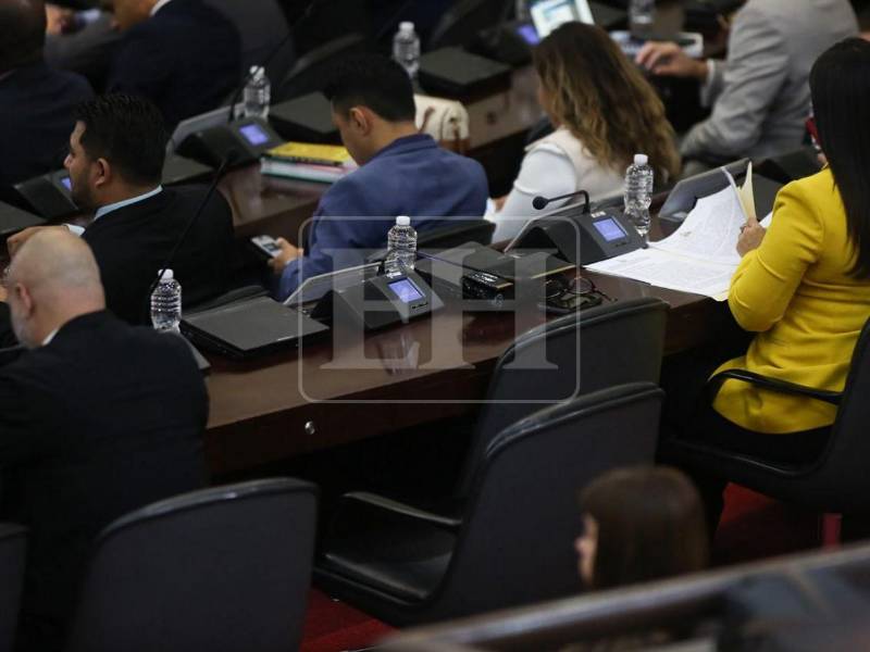 En la sesión se dio lectura a varios proyectos de decreto presentados por diputados de distintas bancadas.