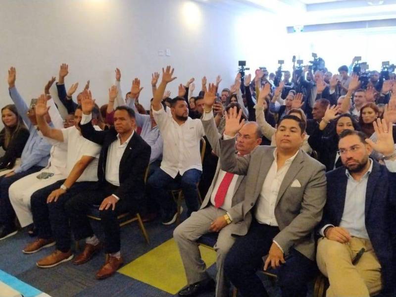 Los legisladores de la oposición exhortaron a los representantes de Libre en los órganos electorales evitar realizar cualquier obstrucción al proceso aún en curso.