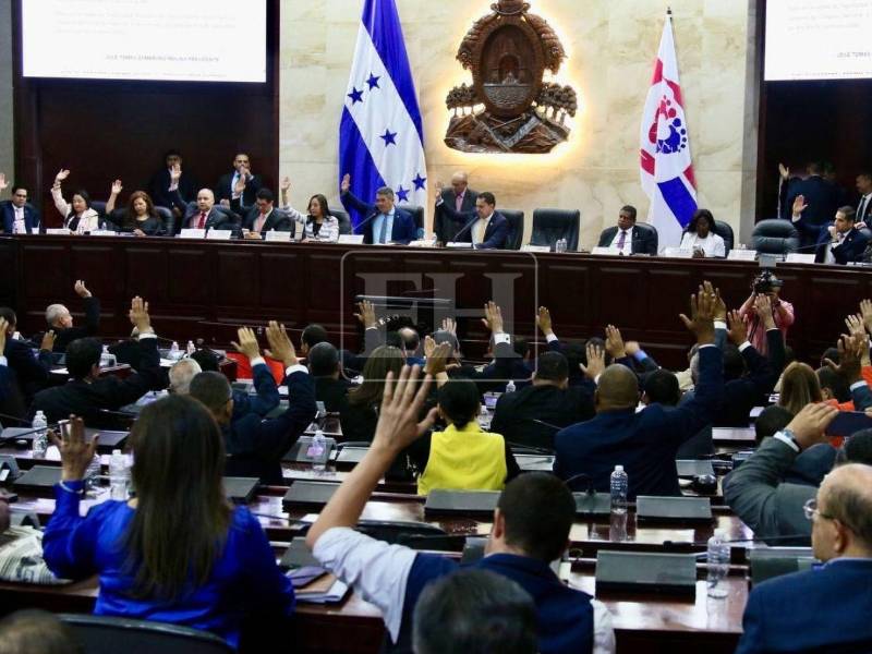 El Poder Legislativo aprobó por unanimidad la ley que fue mocionada desde el Consejo de Defensa y Seguridad.