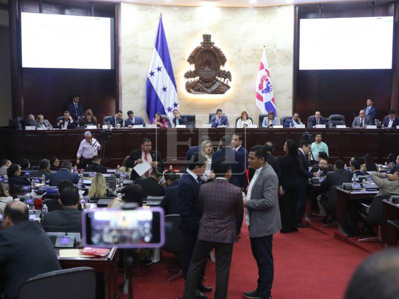 Presentan nómina de candidatos sustitutos para integrar el CNE y el TJE.